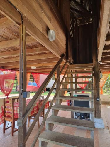 ทัศนียภาพ, Village Nature Les Balisiers in รูรา