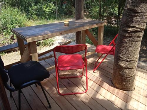 Peaceful cabin in the woods in Ocean Park