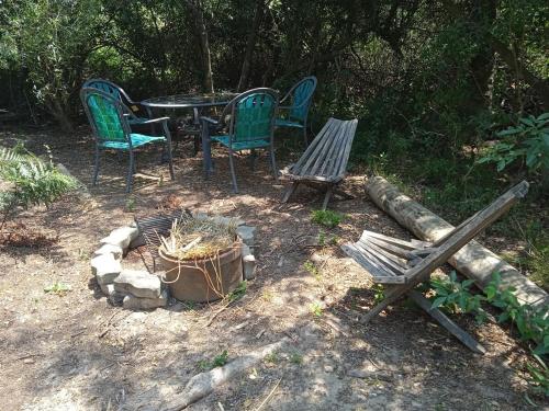 Peaceful cabin in the woods in Ocean Park