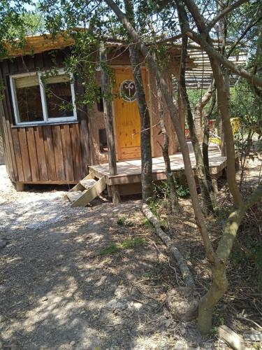 Peaceful cabin in the woods in Ocean Park