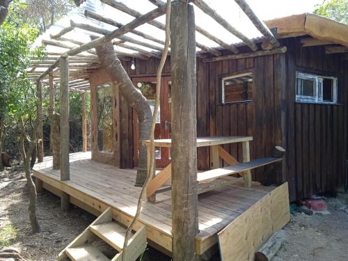 Peaceful cabin in the woods in Ocean Park