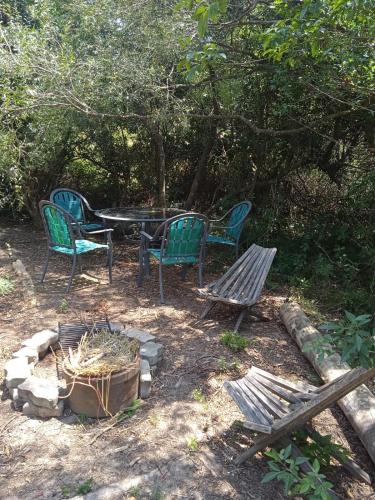 Peaceful cabin in the woods in Ocean Park