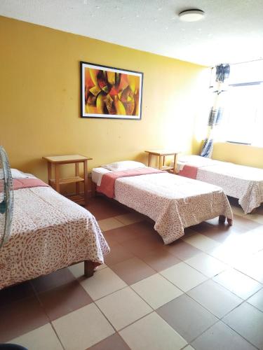 3 twin beds