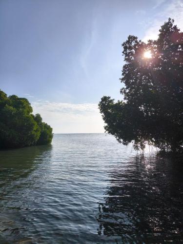 Lake & Ocean Villa ahangama - image 3