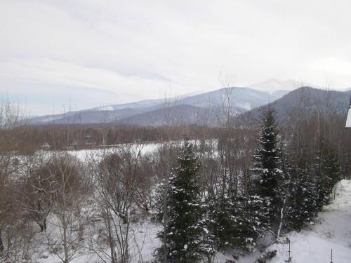 Pensiunea Stella - image 10