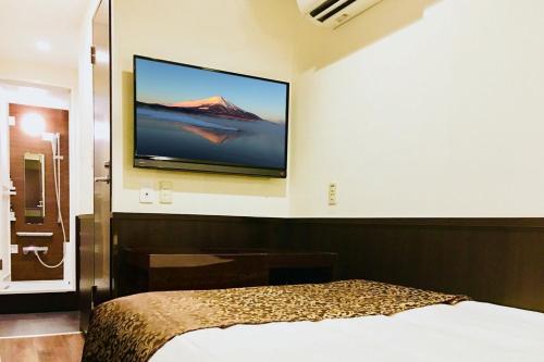 Ikebukuro Central Hotel, Tokio (fotografie 9)