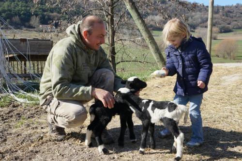 B&B Forcalquier - Domaine du Bas Chalus - Bed and Breakfast Forcalquier