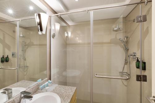 Royal Continental Hotel, Dubai (photo 10)