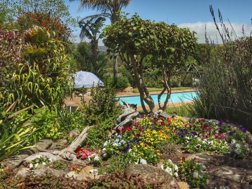 Footprints of Knysna