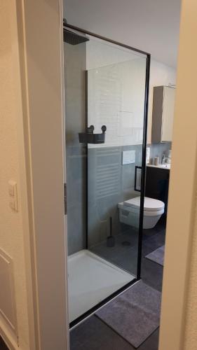 Modern apartment, luxury meets coziness, Eschenbach (foto 5)