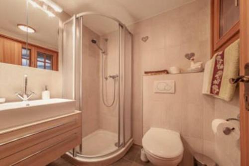 Zermatterchalet - image 12