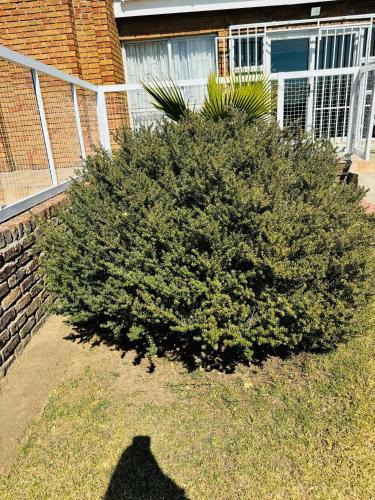 The Mon in 마세루