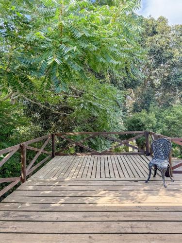Family Home in Napier Family Home in Napier