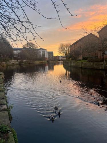 Cozy flat in the heart of Leith, Edinburgh (Foto 6)