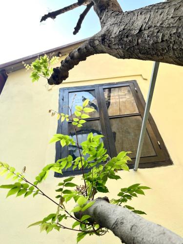 J'adore Apartment - Home & Homie J'adore Apartment - Home & Homie