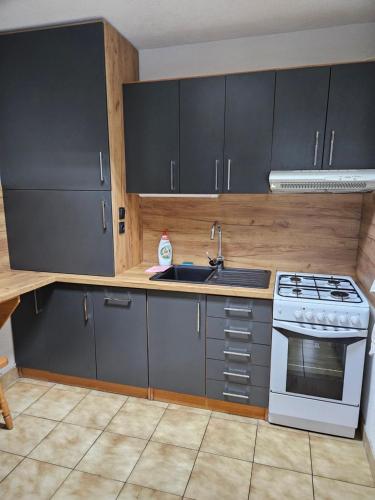 keuken, Apartmán KIS (Apartman KIS) in Levoča