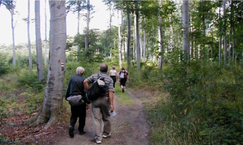 Sport en activiteiten, Apartmán KIS (Apartman KIS) in Levoča