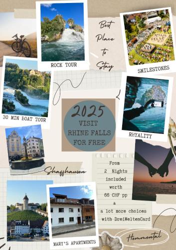  MARYS family friendly Apartments,VISIT RHINE FALLS for FREE if you stay 2 nights, SOHO 95m2 2-Bedrooms 2nd floor & SOUTH BEACH 105m2 3-Bedrooms & LOFT 115m2 3-Bedrooms Suite with Galerie,LOFT Netz 20m2, Pinball, Schaffhausen-Hemmental, Rheinfall 10 km in Schaffhausen