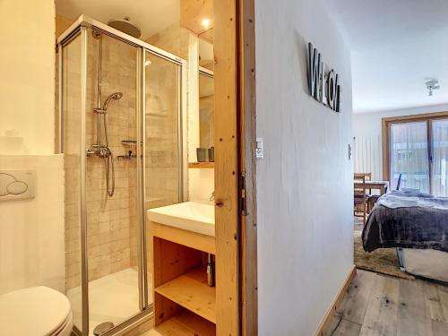 Asters 6 - main image