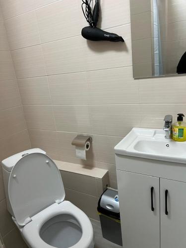 Fürdőszoba, Жетысу Апартмент in Zhetysu Negyed