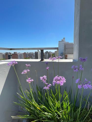 Loft image 7