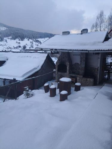 Vila Bucovina in Ciocănești