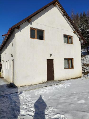 Viesnīcas āriene, Vila Bucovina in Ciocănești