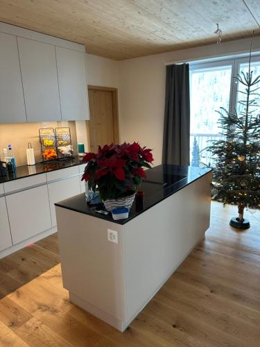 Konyha, Bijou Clavadel in Davos Clavadel