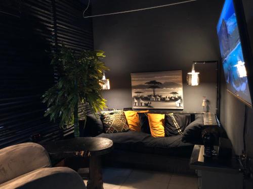 Tela Fresca in لوريشو