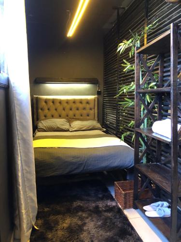 Tela Fresca in لوريشو