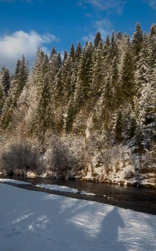 Карпатські Зорі, Pilipets (fotografie 7)