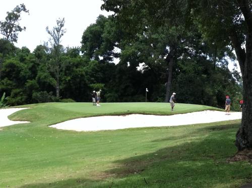 6335955 Terrazas de Golf Boutique Hotel