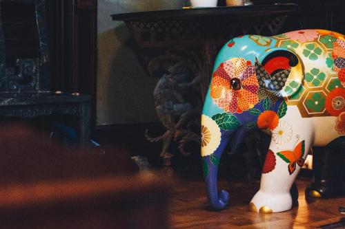 Northern Lights Mansion - image 10