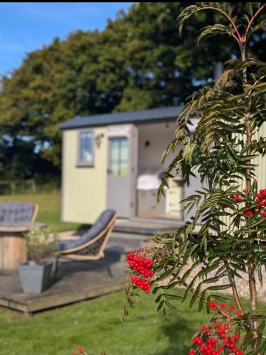 Tolverne Luxury Shepherd's Hut in 霍爾斯沃西