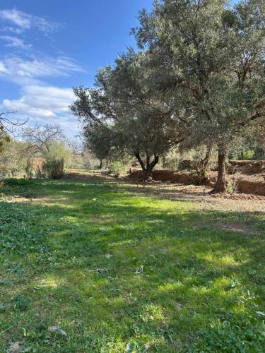 atlas lodge atlas lodge