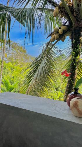 Mango House, Galle (foto 4)