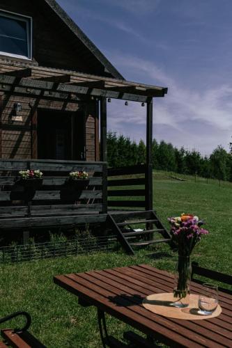 Domek pod brzozami in Brodnica Gorna