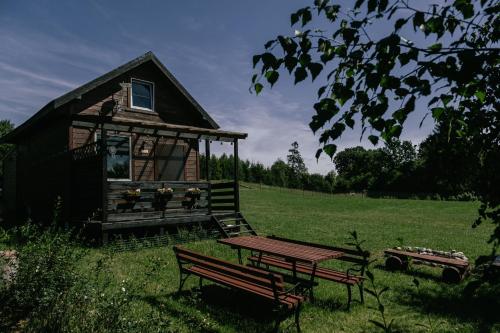 Domek pod brzozami in Brodnica Gorna