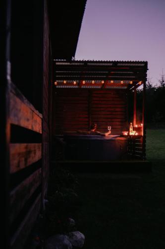 Domek pod brzozami in Brodnica Gorna