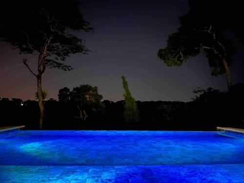 Arasy, Puerto Iguazú (fotografie 8)