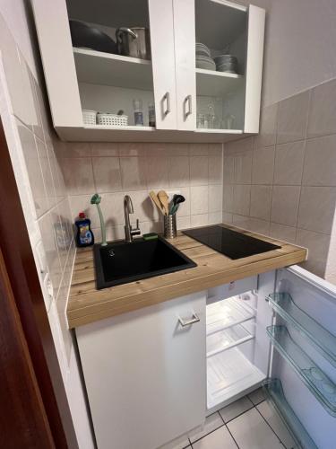 Cozy Apartment, Drážďany (fotografie 7)