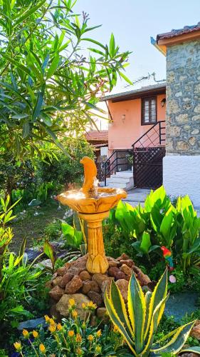 Traditional house at Pelion seaside in 阿諾萊高尼亞