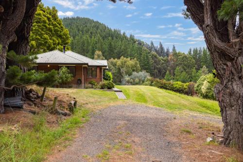 Apkārtne, Forest View - Spacious & private full home retreat in Little River