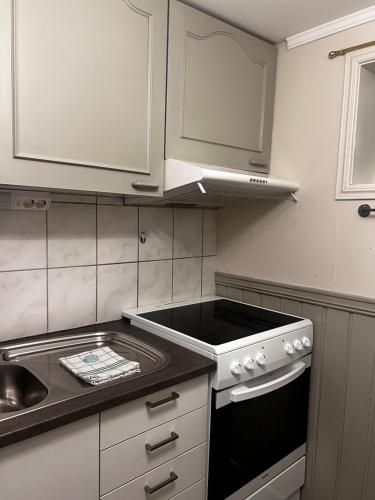 Hoda Apartment - Cozy central apartment with free parking in Leknesa