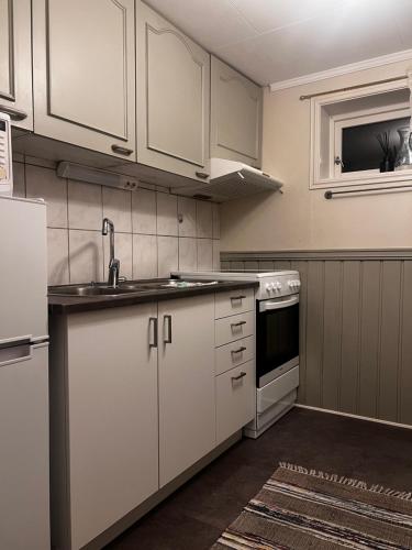 Hoda Apartment - Cozy central apartment with free parking in Leknesa
