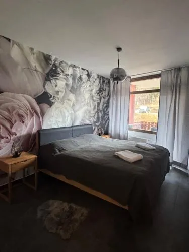 FeWo im Kurhotel in Schluchsee Apartment Loft Style mit Balkon Indoorpool Tiefgaragenstellplatz in Schluchsee, Deutschland