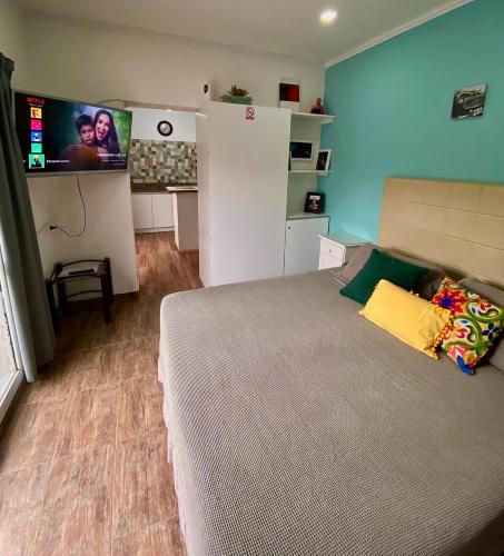 Loft Avis, San Luis