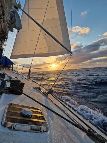 Comfortable and spacious sailboat in Saint Martin