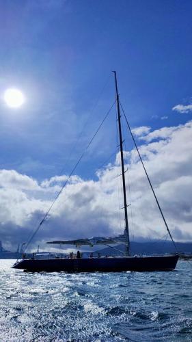 Comfortable and spacious sailboat in Saint Martin