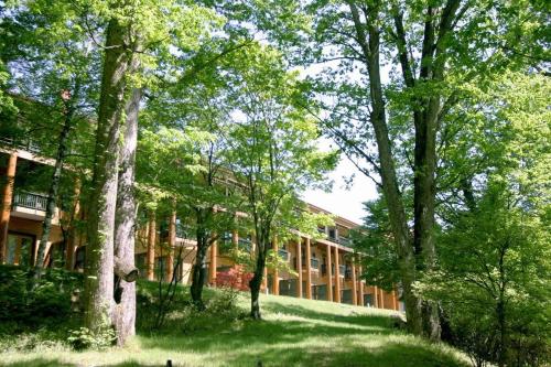 Photo - Chuzenji Kanaya Hotel